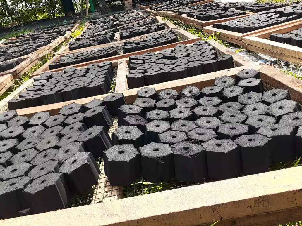 Briquettes de charbon de bois pour barbecue