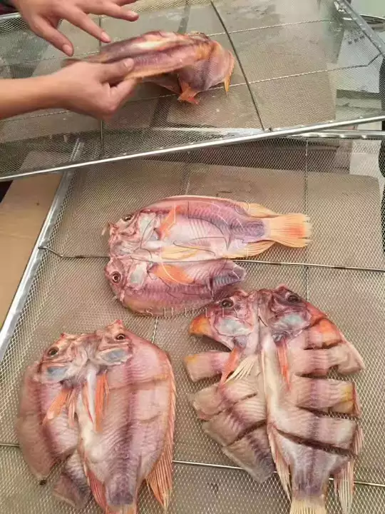 peixe