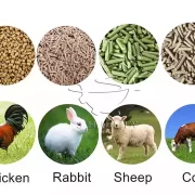 alimentation animale par machine à granulés pour l'alimentation animale