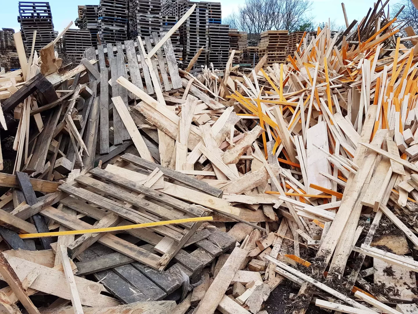 déchets de bois