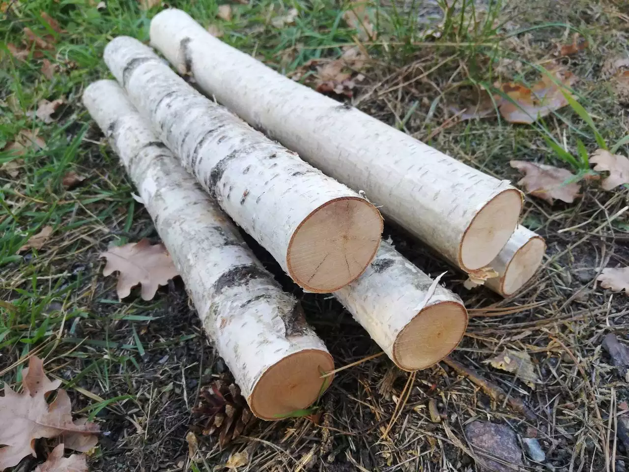 troncos de madera para pelar